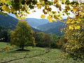 03 - Vue d'automne